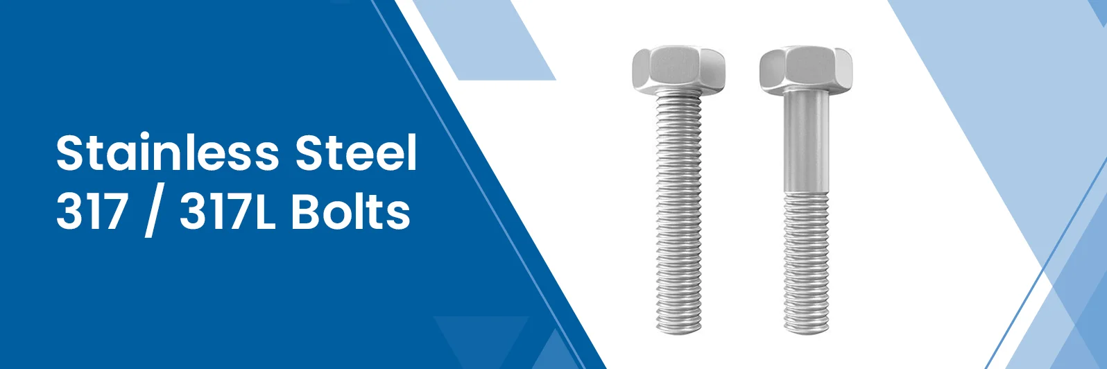 Stainless Steel 317 / 317L Bolts
